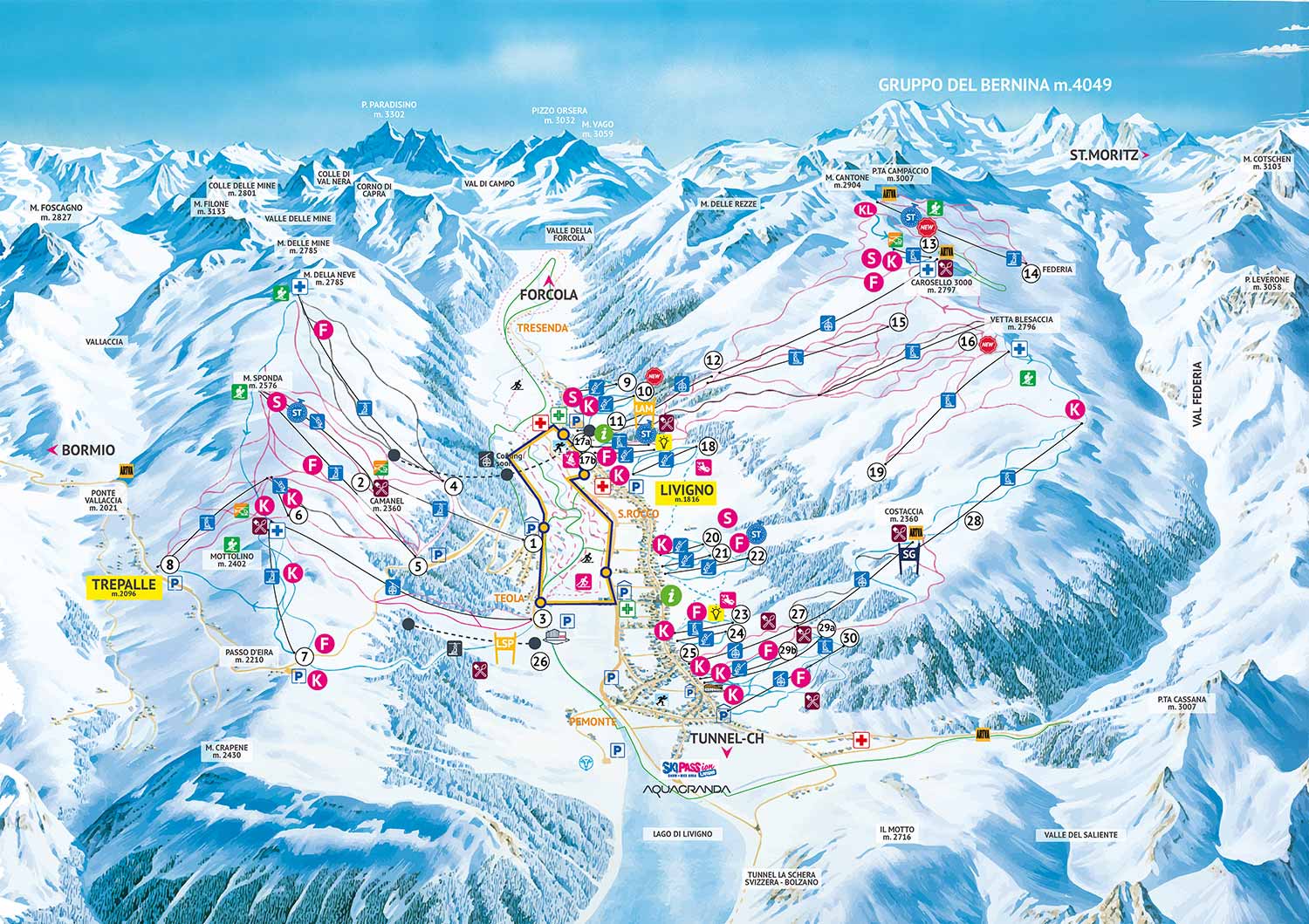 Boxer enfant Madonna di Campiglio Pinzolo